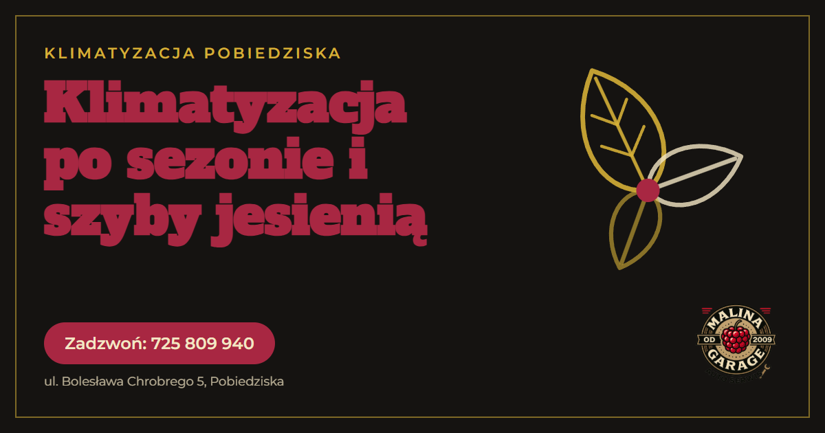 Ozonowanie nowego samochodu po zakupie przed pierwszą jazdą, Malina Garage Pobiedziska